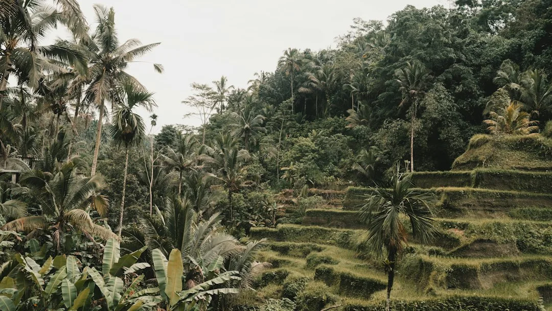 Top Must‑Do Bali Adventure Tour 2025: Epic Off‑Road Experiences