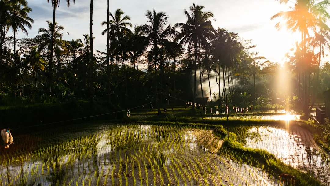 Bali Adventure Tour 2025