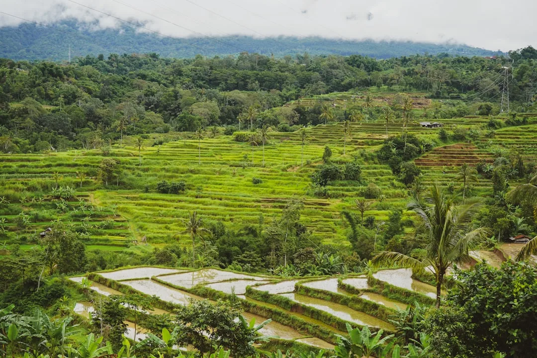 Bali Dirt Bike Tour