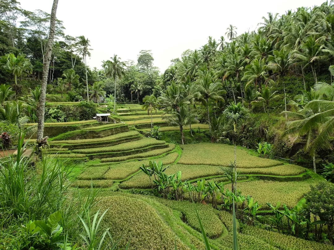 Bali Off-Road Adventure