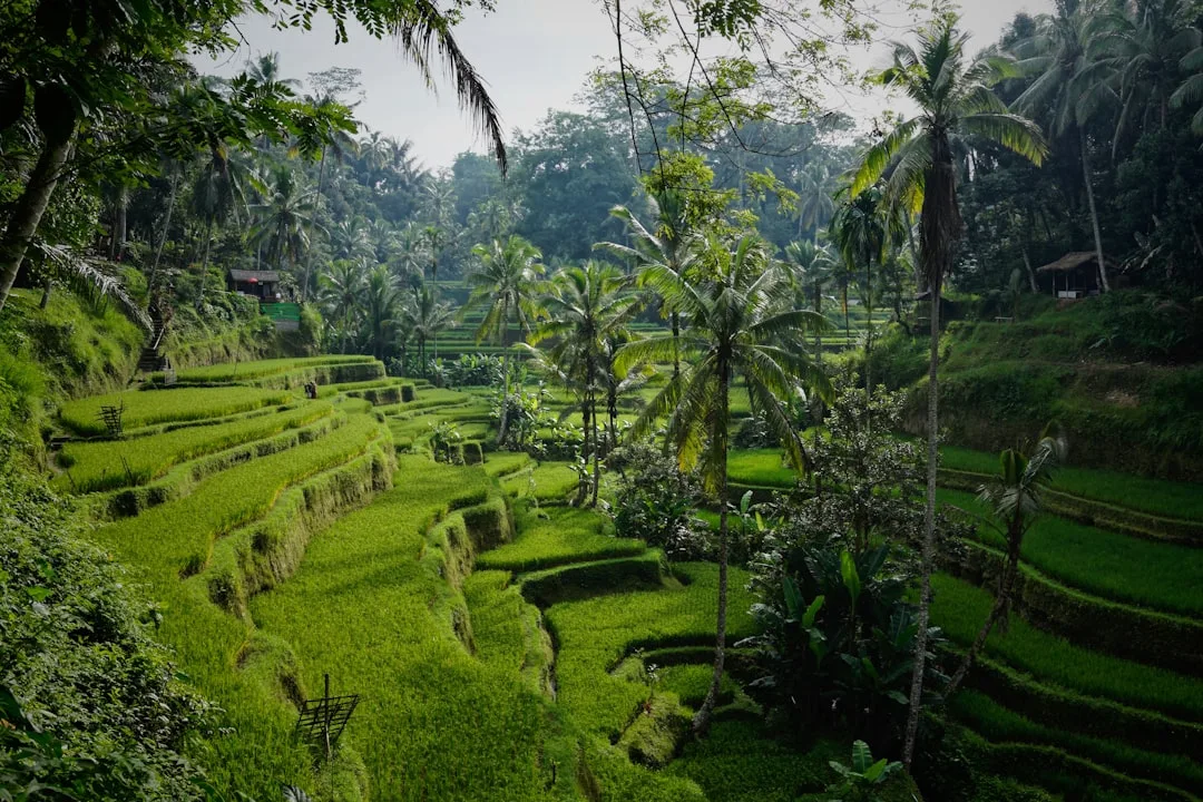 Bali Private Dirtbike Tour