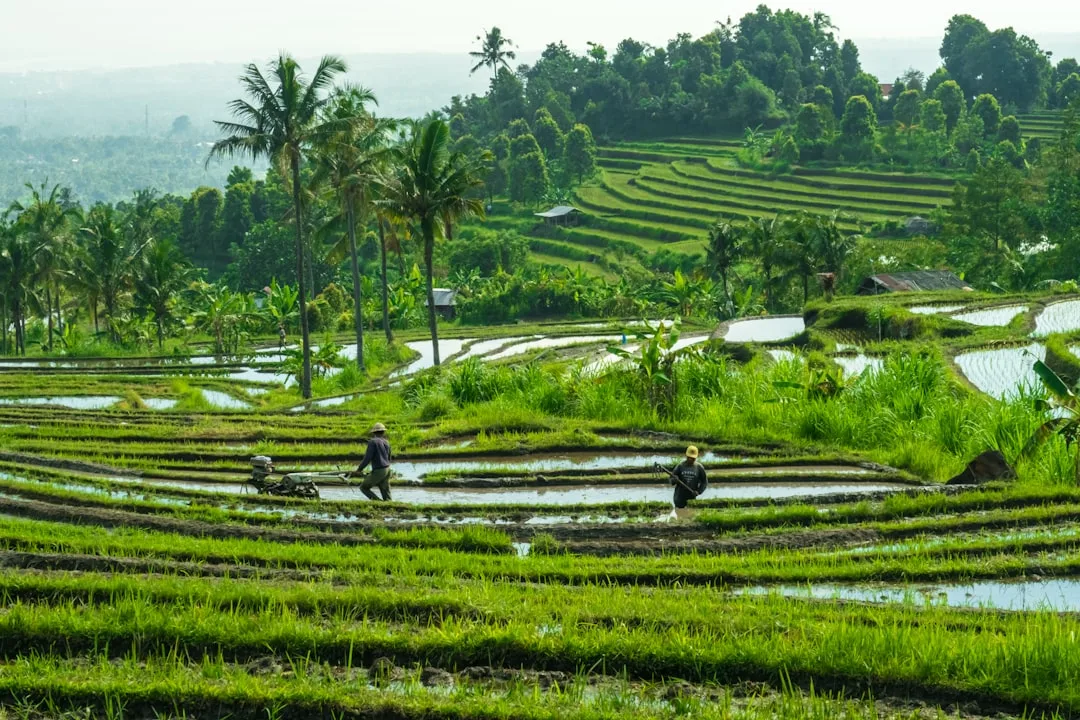 Enduro Tour Bali