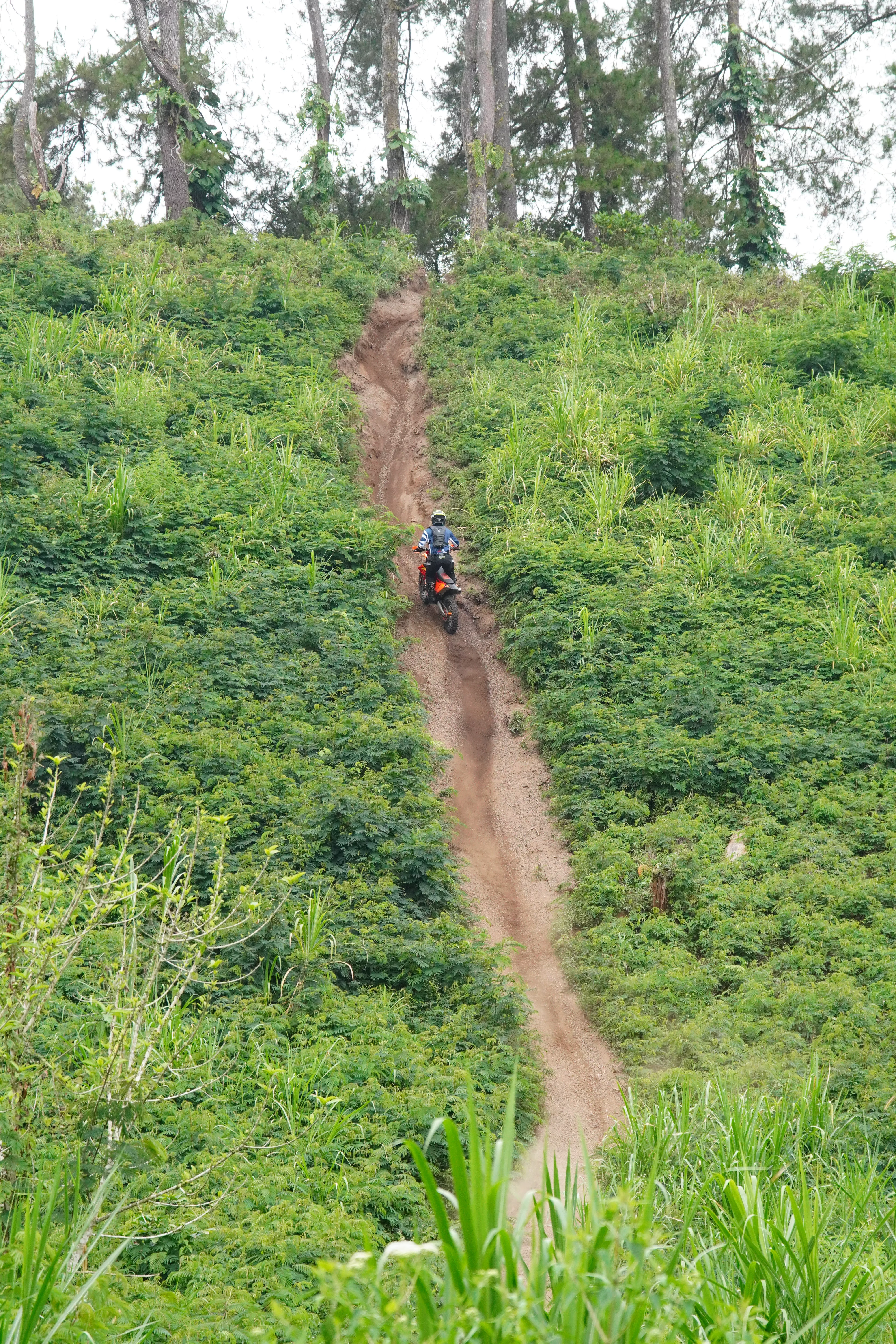 Enduro Cross Country